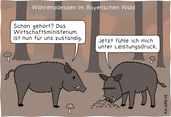 Cartoon | Wildschweine | © Katharina Greve